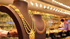 Conman gets book released by Uttarakhand CM, days later dupes jeweller's wife of Rs 1.75 cr