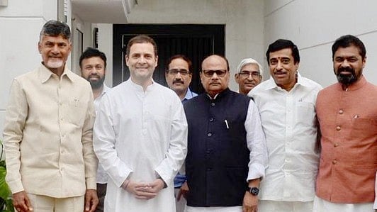 Andhra Pradesh CM Chandrababu Naidu, Congress president Rahul Gandhi with senior TDP leaders