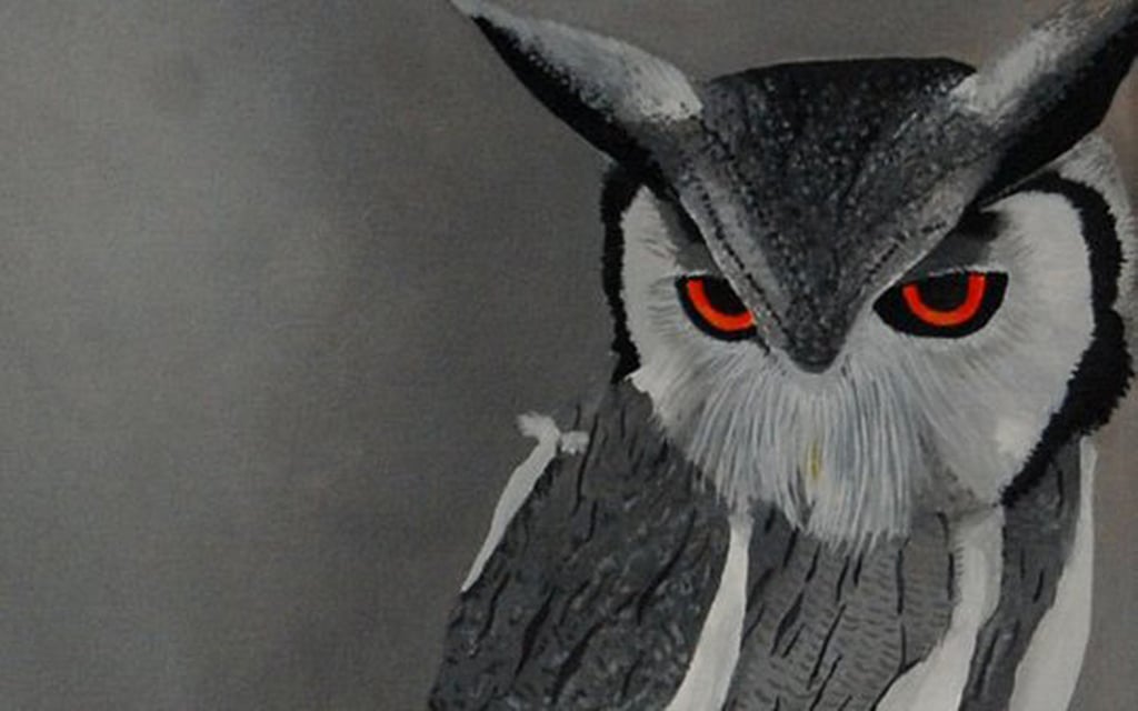 UP: Forest dept tries to save owls on Diwali, elephants and helicopters are deployed to protect them