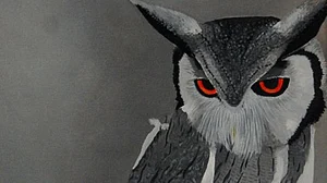 UP: Forest dept tries to save owls on Diwali, elephants and helicopters are deployed to protect them