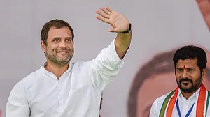 November 28: Delhi and beyond, in pictures