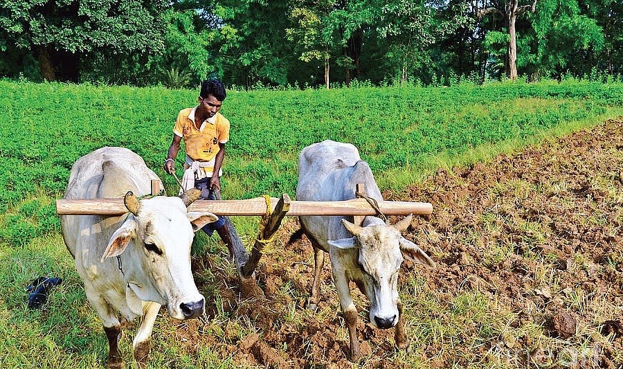 Deconstructing the controversy over GDP growth: Modi’s ‘army’, Modi’s  ‘statistics’ ?