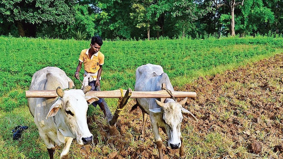 Deconstructing the controversy over GDP growth: Modi’s ‘army’, Modi’s  ‘statistics’ ?
