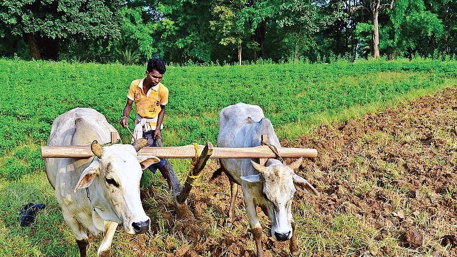 Deconstructing the controversy over GDP growth: Modi’s ‘army’, Modi’s ‘statistics’ ?