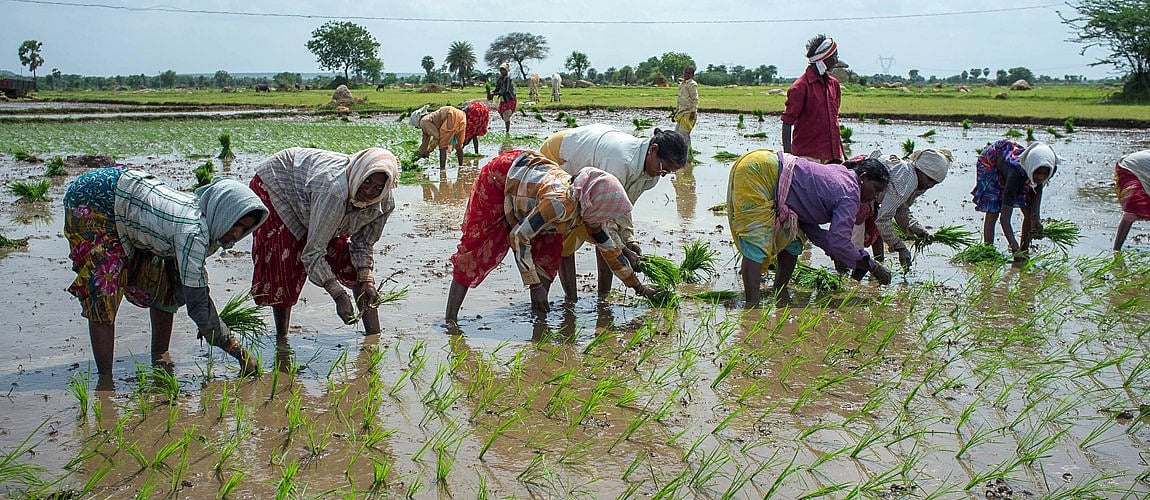 EU asks PM Modi: How will you double farmers’ income? 