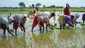 EU asks PM Modi: How will you double farmers’ income?