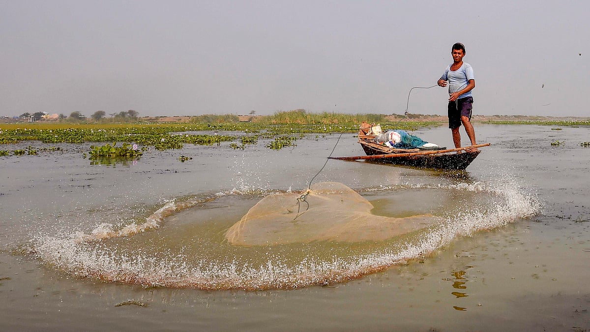 Vizhinjam has witnessed strong protests by fisherfolk against the Adani seaport, leading to violence in November 2022 (representative image of a fisherman on the lagoons: PTI)