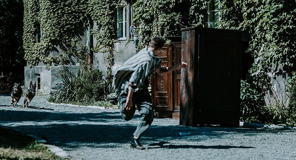 Black Nights Film Festival: When the night shone bright in Tallinn