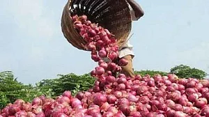 Now, farmer gets 0.51 paise per kg for onions, sends money to Maharashtra CM Fadnavis