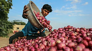 Soaring onion prices make consumer cry, government to boost supply