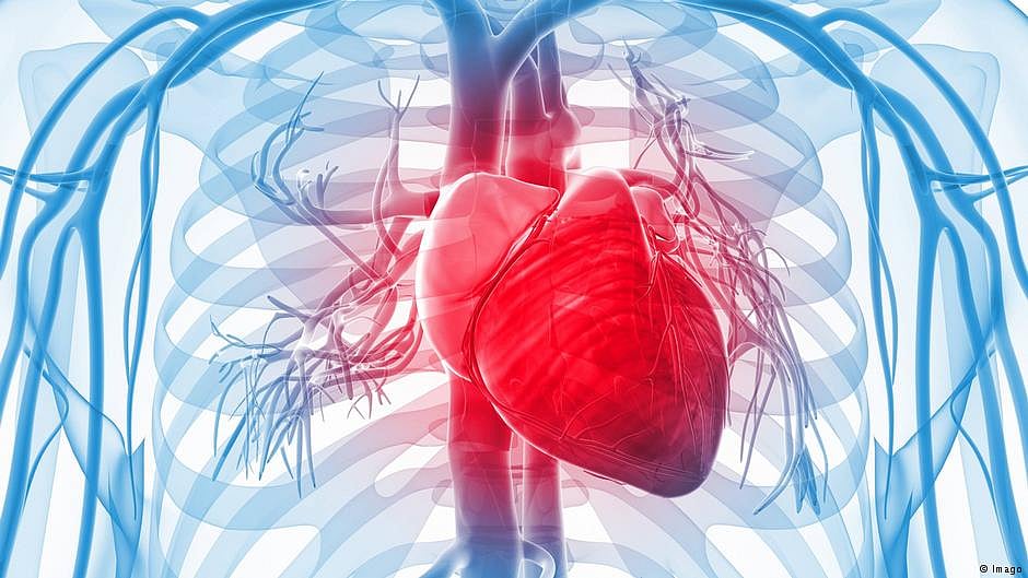 High-fat keto diets can prevent, reverse heart failure: Study