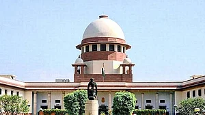 SC to study if illegal immigrants can get refugee status