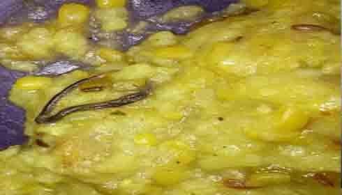 Maharashtra: School serves students khichdi with snake in midday meal! 