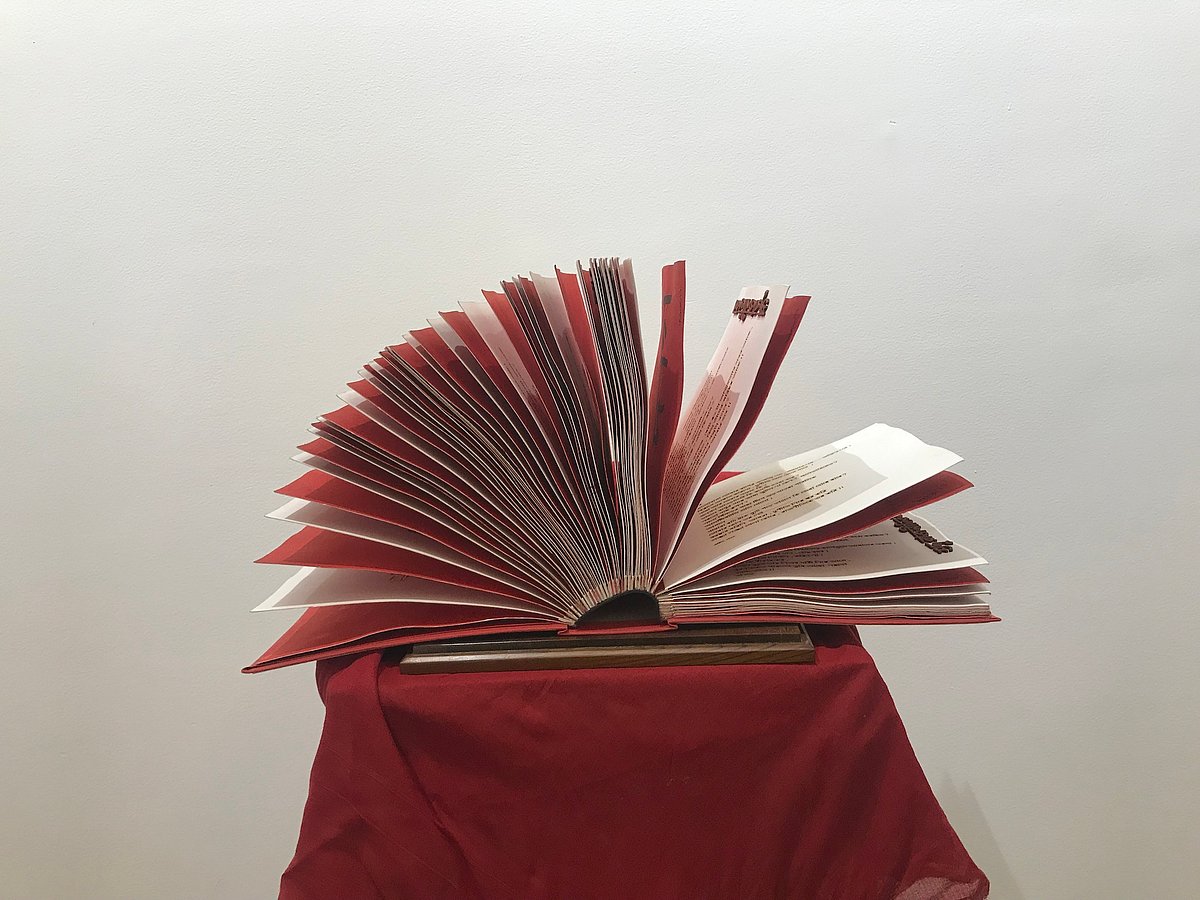  Decoding Democracy: An art show questioning polity and its consumers, and how   