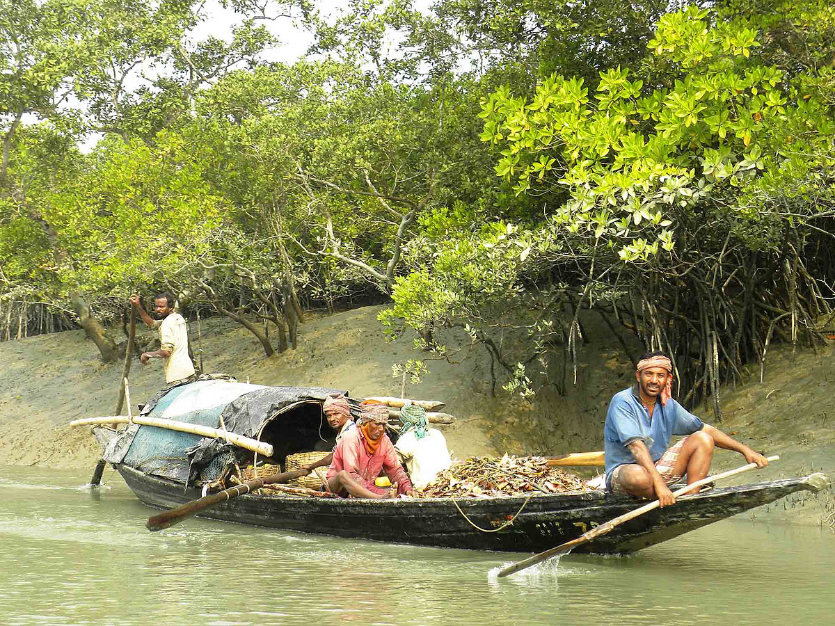 Sundarban: High salinity in groundwater forces people to buy drinking water, leave farming