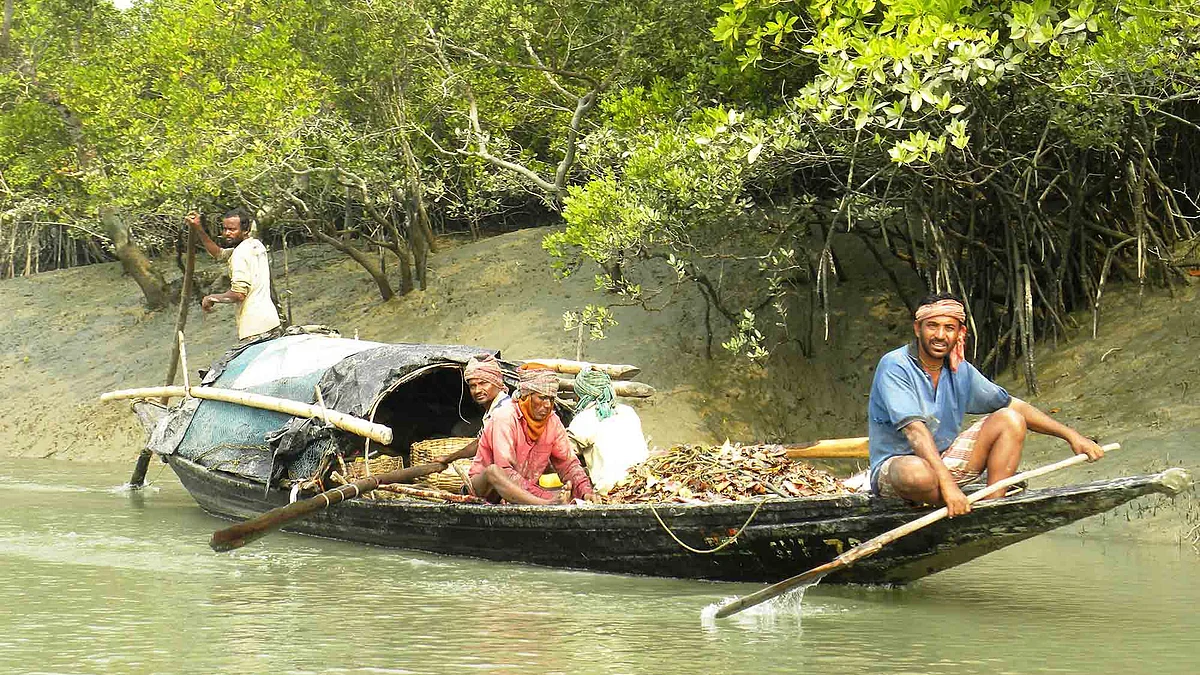 Fishermen in Sundarban delta. (Photo: Social media)