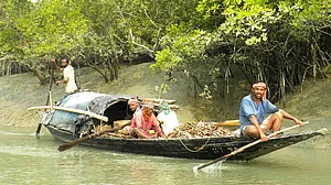 Sundarban: High salinity in groundwater forces people to buy drinking water, leave farming