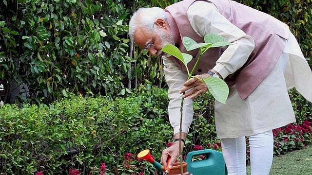Over 1000 trees felled for PM Modi’s helipad in Odisha 