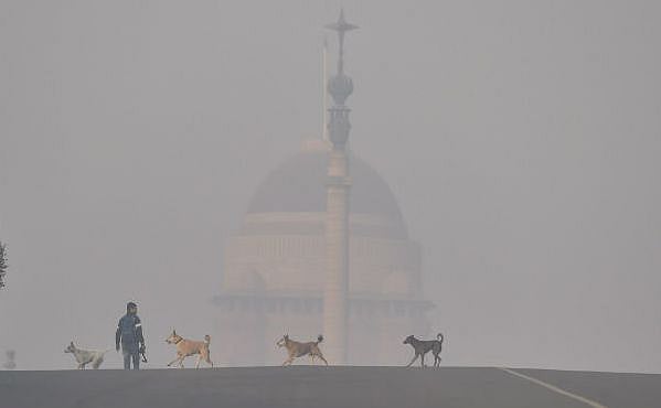 Cold wave continues unabated in Kashmir Valley as fog descends on New Delhi