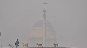 Cold wave continues unabated in Kashmir Valley as fog descends on New Delhi
