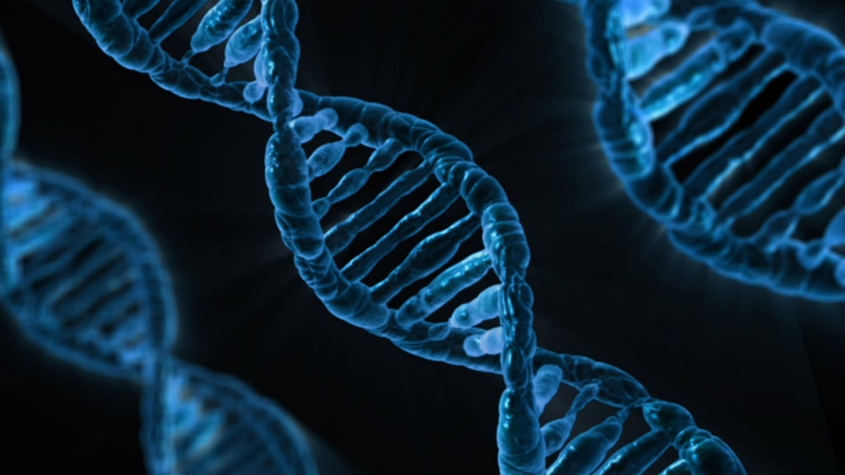 Genes may determine whether your marriage will work or not, says a study