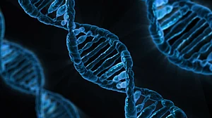 Genes may determine whether your marriage will work or not, says a study
