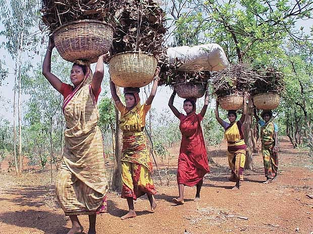 Is uprooting millions of poor tribals from their ancestral homelands ethical?