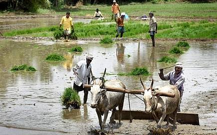 PM to roll out income scheme for farmers on Sunday