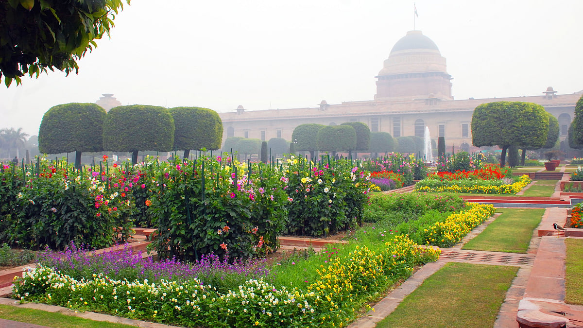 An enchanting view of the Mughal Gardens at Rashtrapati Bhavan (file photo)