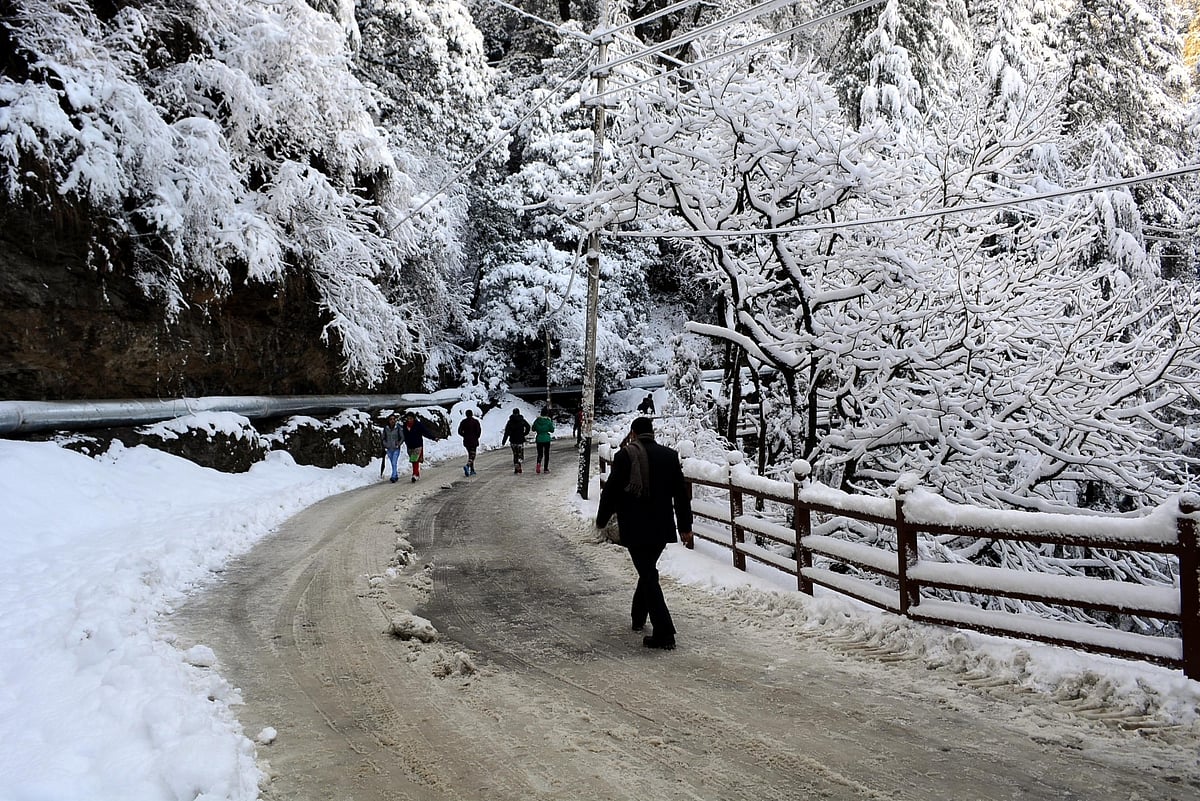 Frequent snow in Himachal Pradesh after long gap a natural phenomenon: Weather bureau  
