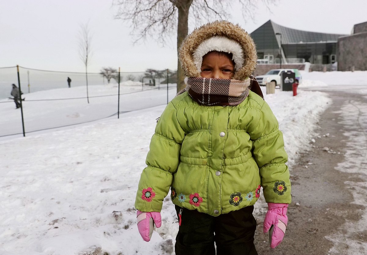 Polar Vortex freezes US Midwest region; 29 killed due to extreme cold