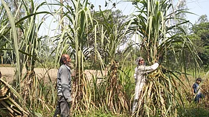 Western Uttar Pradesh farmers on interim budget: We asked for relief not bribe