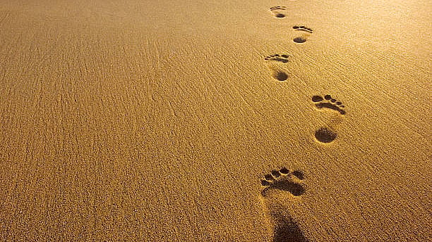 Kalachuvadu means footprints of time. A representative image