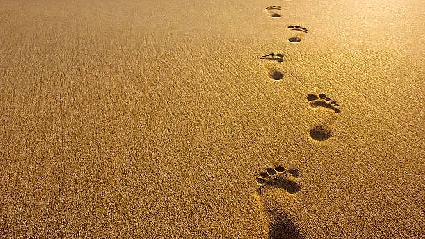 Kalachuvadu means footprints of time. A representative image