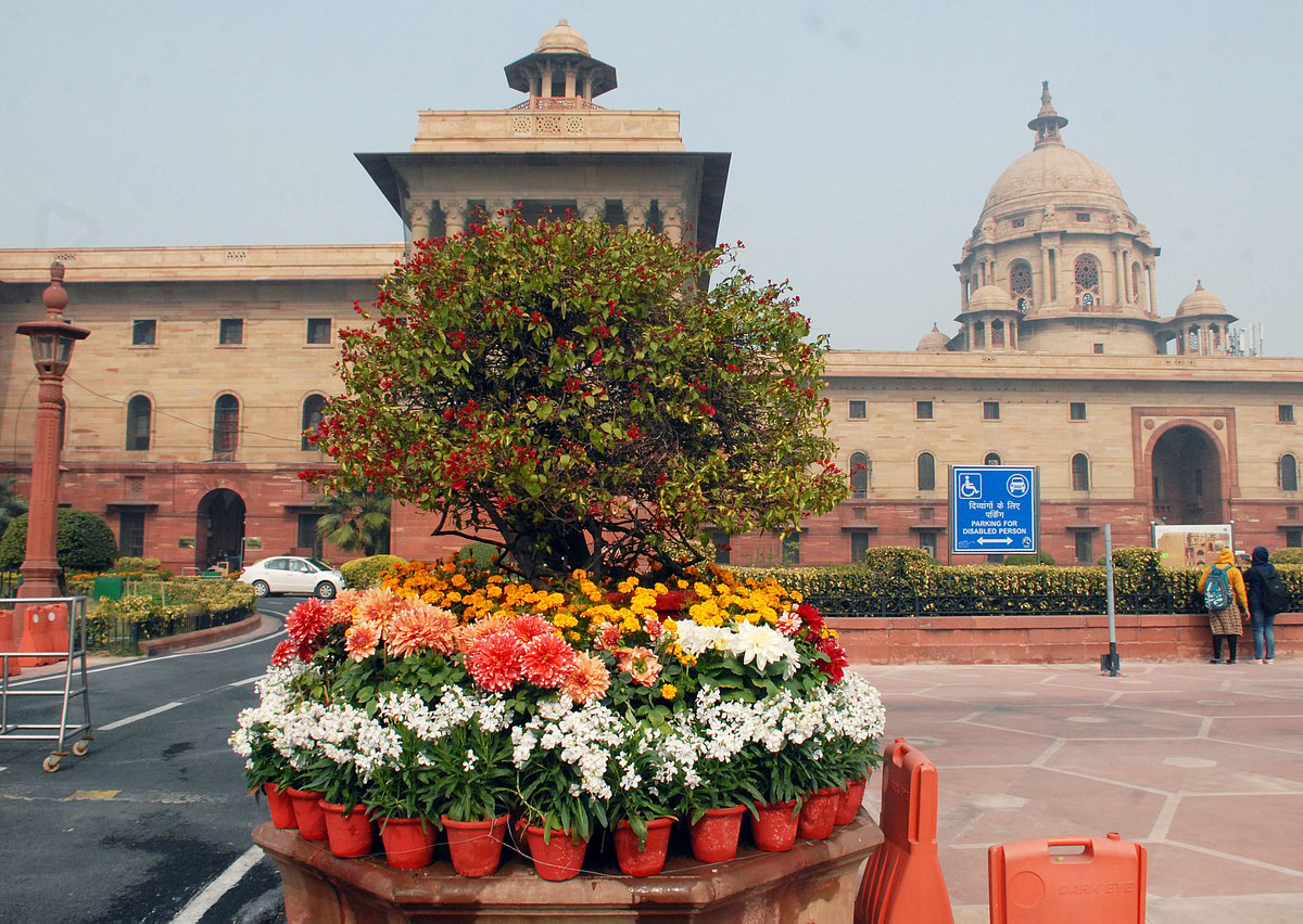 Mughal Gardens open for public from February 6: flowers in pictures 
