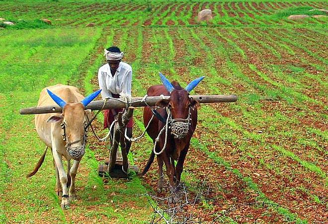 Madhya Pradesh farmers not happy with budget, income support is too low to meet the crisis