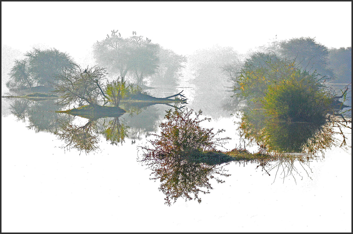 Photo by late S. Paul