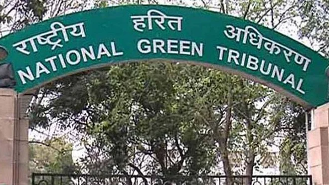 NGT imposes ban on sale, use of firecrackers in Delhi-NCR from Nov 9 to Nov 30