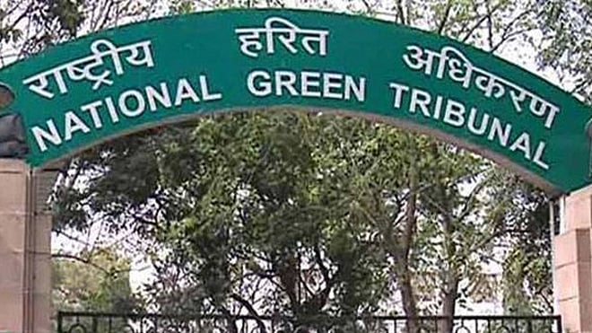 NGT imposes ban on sale, use of firecrackers in Delhi-NCR from Nov 9 to Nov 30