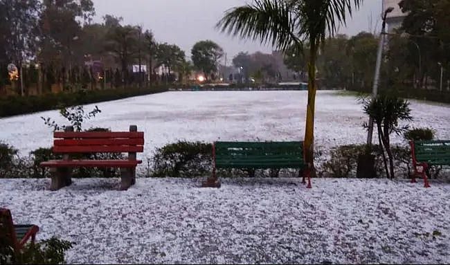Heavy rains, hailstorm bring smiles to Delhi NCR, damage crops in northwest India
