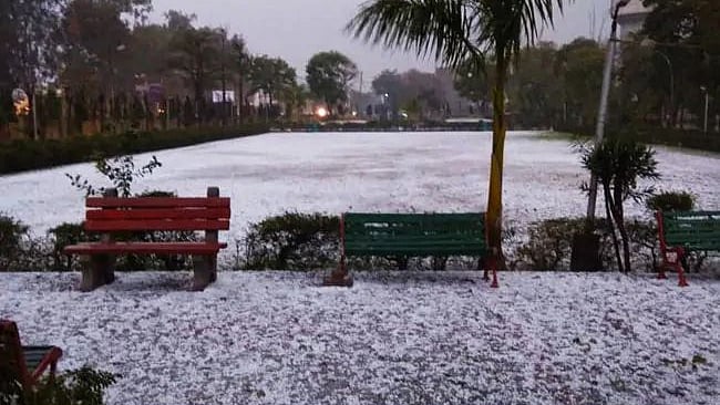 Heavy rains, hailstorm bring smiles to Delhi NCR, damage crops in northwest India