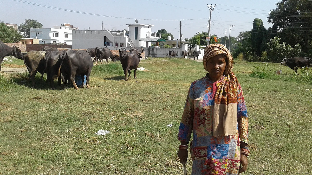‘Never seen a theatre in life’: The forbidden world of ‘urban’ Kashmiri tribal women