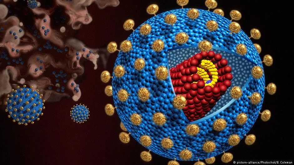 Representative image of Stem cells (photo: DW)