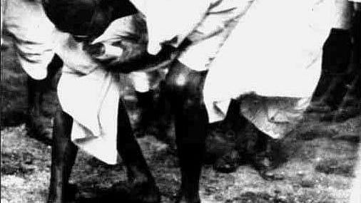 Nation recalls Mahatma’s Dandi march: A quiz on ‘salt satyagraha’