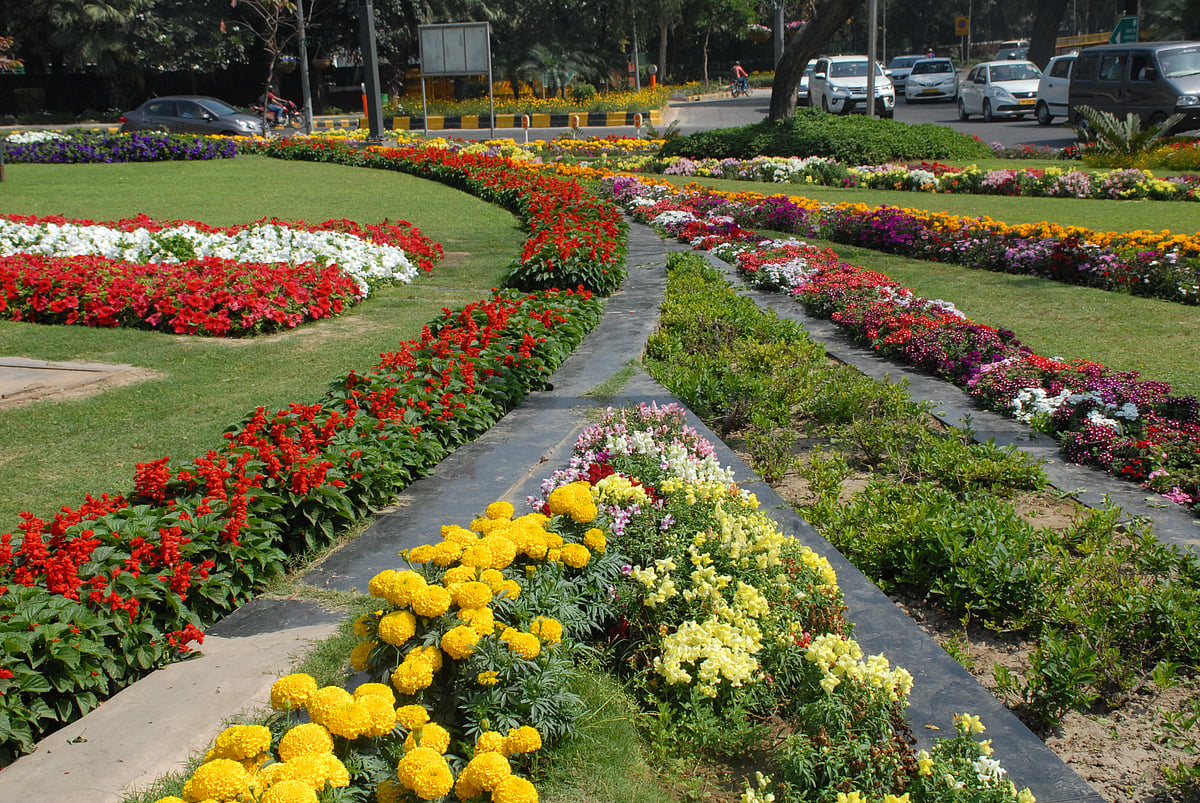 March 30: Delhi and beyond, in     pictures
