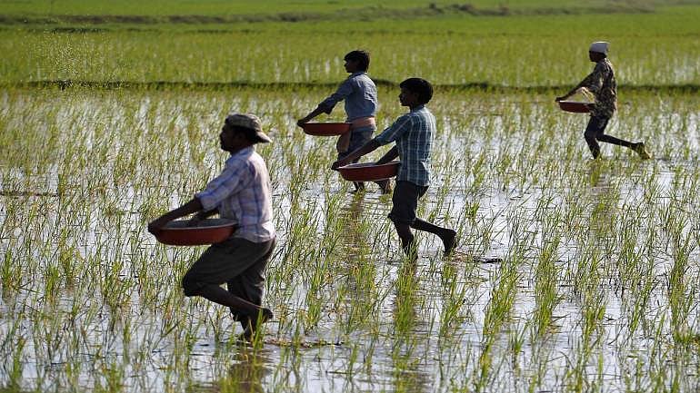 Telangana: Over 200 farmers file nominations in Nizamabad Lok Sabha seat  