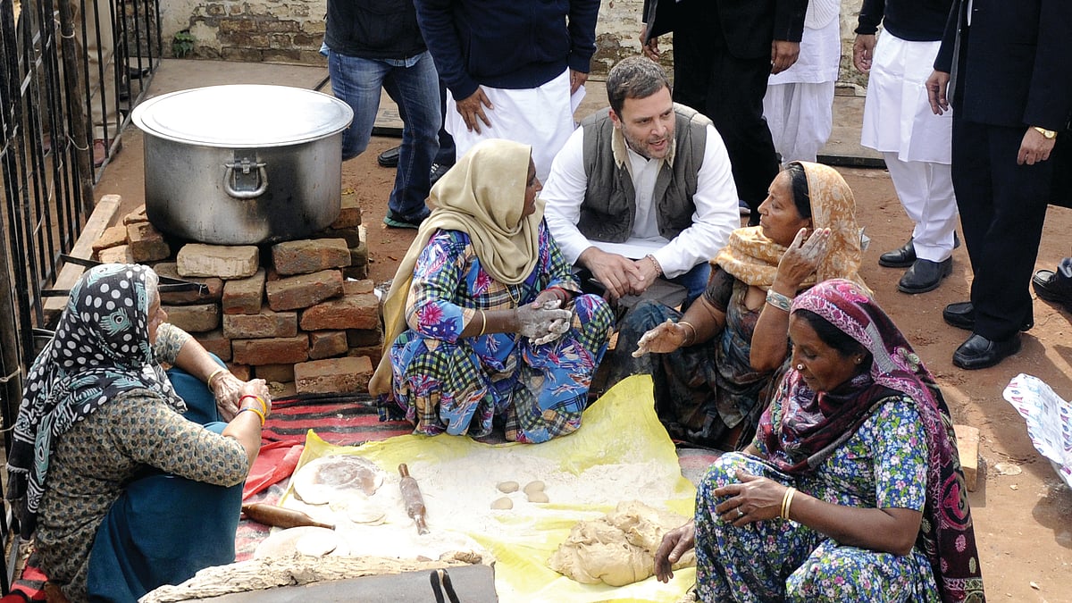 Congress President Rahul Gandhi (Social Media)