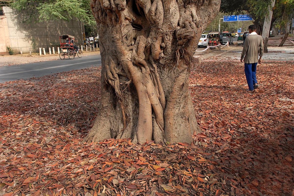 Pramod Pushkarna