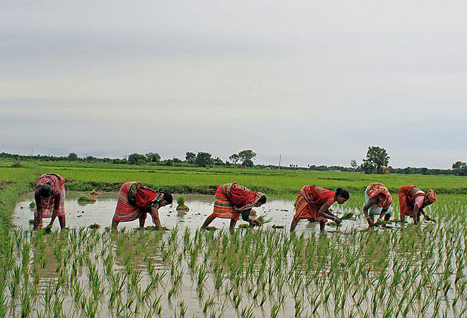 Nearly 3 crore farm labourers lost their jobs in last 4 years reports NSSO