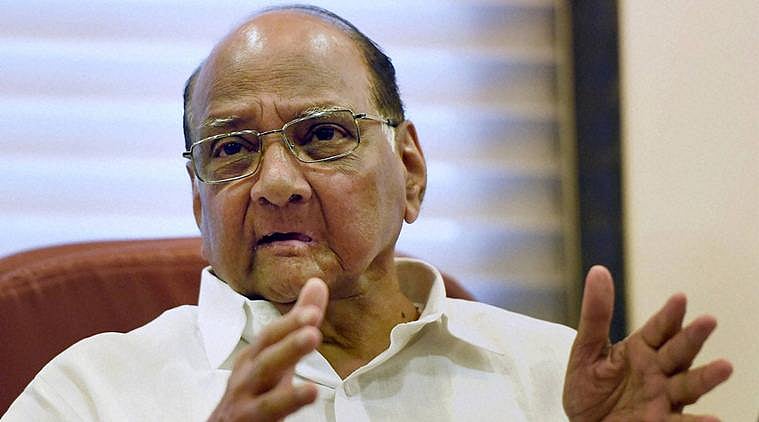 Sharad Pawar not to fight Lok Sabha polls  